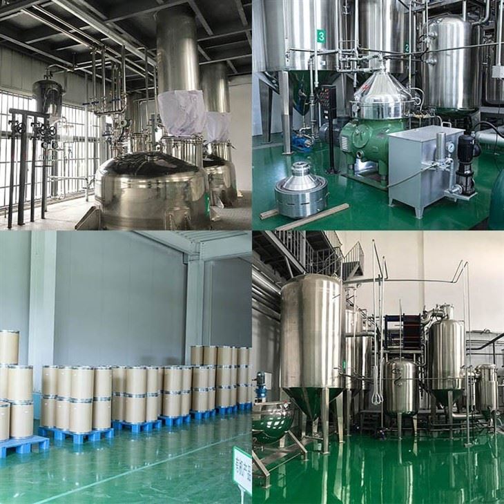 Rambutan Powder factory